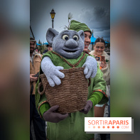 World of Frozen - Troll Mossie