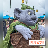 World of Frozen - Troll Mossie