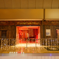 Harry Potter s'invite à Val d’Europe pour les fêtes de Noël ! - VDE 221125 HarryPotter 266