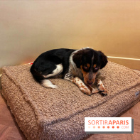 Brume Studio - IMG 1187