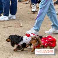 Paris Sausage Walk, la Marche des Teckels 2025