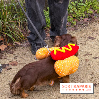 Paris Sausage Walk, la Marche des Teckels 2025