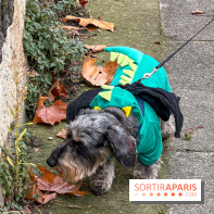 Paris Sausage Walk, la Marche des Teckels 2025