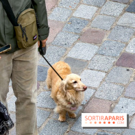 Paris Sausage Walk, la Marche des Teckels 2025