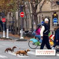 Paris Sausage Walk, la Marche des Teckels 2025