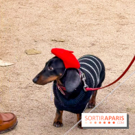 Paris Sausage Walk, la Marche des Teckels 2025 - IMG 1798