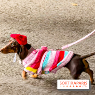 Paris Sausage Walk, la Marche des Teckels 2025