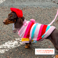 Paris Sausage Walk, la Marche des Teckels 2025