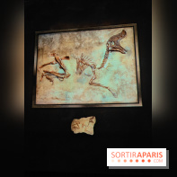 Dinosaures : l'expérience immersive qui nous fait remonter le temps à l'Atelier des Lumières, photos