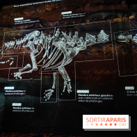 Dinosaures : l'expérience immersive qui nous fait remonter le temps à l'Atelier des Lumières, photos