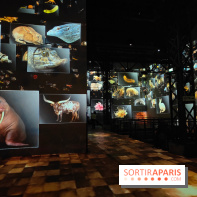 Dinosaures : l'expérience immersive qui nous fait remonter le temps à l'Atelier des Lumières, photos