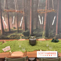 Noël danois à la Maison du Danemark : un voyage culturel pour les fêtes sur les Champs-Elysées - fotor 1764846663521