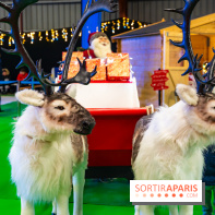 Le Marché de Noël d'Elancourt dans les Yvelines 2025 - photos