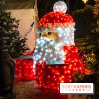 Le Marché de Noël d'Elancourt dans les Yvelines 2025 - photos  - A7C02571
