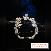 Joyaux dynastiques : une exposition qui brille de mille feux à l'Hôtel de la Marine à Paris - fotor 1765278690598