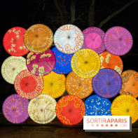 Le Japon en Lumières : le parcours lumineux et festival des lanternes 2025 du Jardin d'Acclimatation - IMG 4851