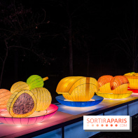 Le Japon en Lumières : le parcours lumineux et festival des lanternes 2025 du Jardin d'Acclimatation