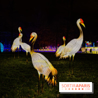 Le Japon en Lumières : le parcours lumineux et festival des lanternes 2025 du Jardin d'Acclimatation
