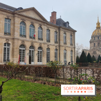 Rodin, dessins libres : une exposition d'œuvres rarement montrées au musée Rodin se dévoile - fotor 1765539613333