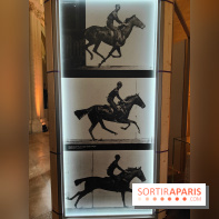 Zeus, chef d'œuvre d'artisans : une exposition sur le cheval des JO au musée des Arts et Métiers - fotor 1765963918546