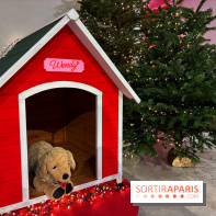 L'Appart de Noël Star Academy
