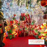 Ce passionné en Essonne transforme son jardin en Village de Noël à visiter gratuitement