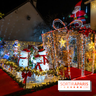 Ce passionné en Essonne transforme son jardin en Village de Noël à visiter gratuitement