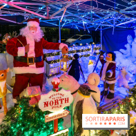 Ce passionné en Essonne transforme son jardin en Village de Noël à visiter gratuitement