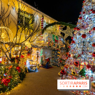 Ce passionné en Essonne transforme son jardin en Village de Noël à visiter gratuitement