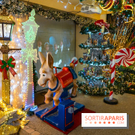 Ce passionné en Essonne transforme son jardin en Village de Noël à visiter gratuitement