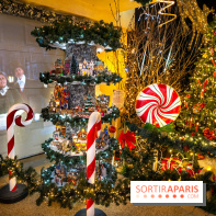 Ce passionné en Essonne transforme son jardin en Village de Noël à visiter gratuitement