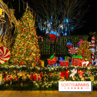 Ce passionné en Essonne transforme son jardin en Village de Noël à visiter gratuitement