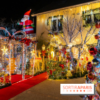 Ce passionné en Essonne transforme son jardin en Village de Noël à visiter gratuitement
