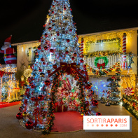 Ce passionné en Essonne transforme son jardin en Village de Noël à visiter gratuitement