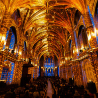 Luminiscence - L'Odyssée Céléste Bordeaux 5