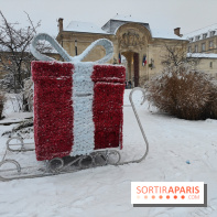 Neige en Île-de-France, hiver 2026 visuels - Kremlin-Bicêtre 94 Val-de-Marne cadeau Noël