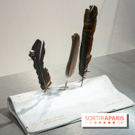 Saint Laurent Rive Droite : une exposition gratuite dédiée à Man Ray, dans la boutique emblématique