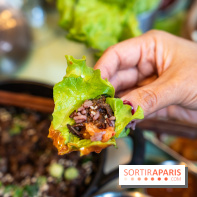 Hallyu Kitchen, le nouveau restaurant coréen Paris 9e - photos