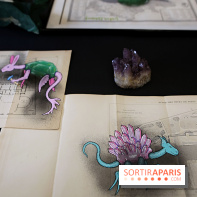 Codex on the Rocks, nos photos de l'expo au Musée de Minéralogie à Paris