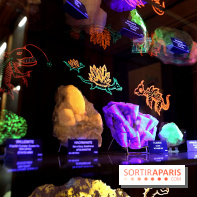 Codex on the Rocks, nos photos de l'expo au Musée de Minéralogie à Paris