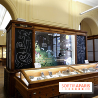 Codex on the Rocks, nos photos de l'expo au Musée de Minéralogie à Paris