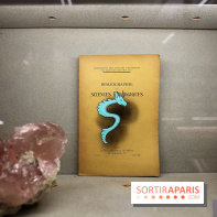 Codex on the Rocks, nos photos de l'expo au Musée de Minéralogie à Paris