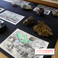 Codex on the Rocks, nos photos de l'expo au Musée de Minéralogie à Paris