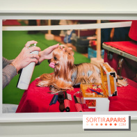 Global Warning : le photographe Martin Parr à l'honneur dans une exposition au Jeu de Paume