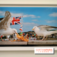 Global Warning : le photographe Martin Parr à l'honneur dans une exposition au Jeu de Paume