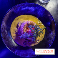 Lou Diprey : le cabaret pop moderne et intimiste à Paris 10ᵉ - IMG 3132