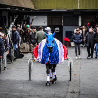 Carnavals de France à l’Hippodrome Paris-Vincennes : défilés, courses et Miss France 2026 - BV 20250209150121BV  4950