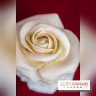 Saint-Valentin 2026 : la boulangerie - chocolaterie Pleincœur célèbre le mois de l'amour