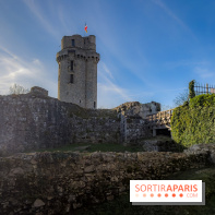 Ile-de-France : La Tour de Montlhéry au panorama unique sur l'Essonne - IMG 0603