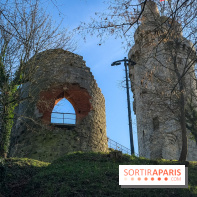 Ile-de-France : La Tour de Montlhéry au panorama unique sur l'Essonne - IMG 0589